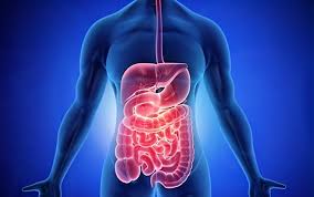 Gastro-Intestinal